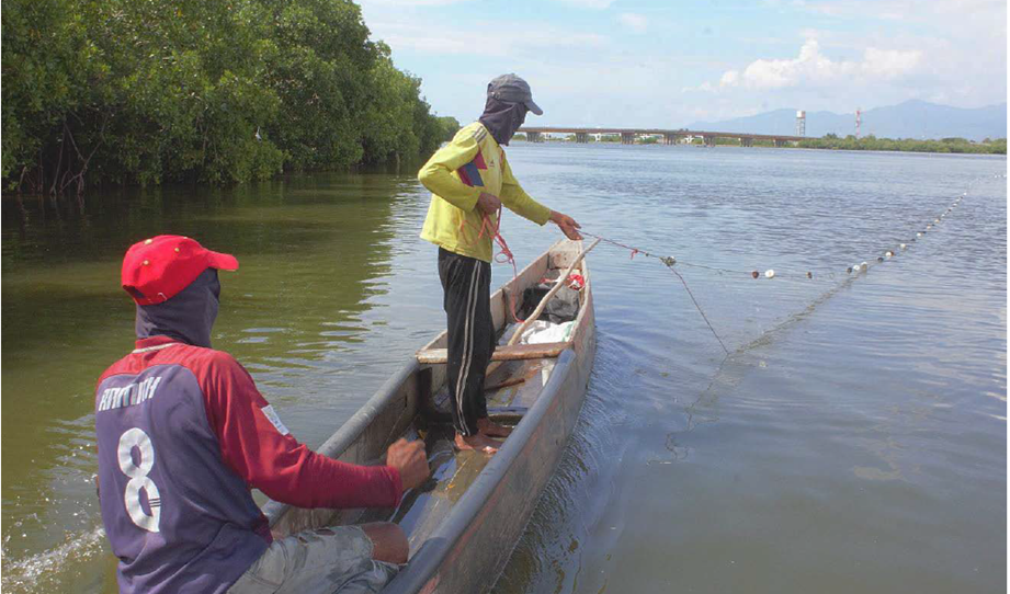 Aprender a mirar: Una inmersión en Tasajera, Magdalena. image