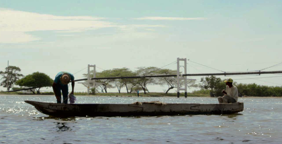 Aprender a mirar: Una inmersión en Tasajera, Magdalena. image