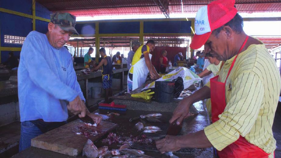 Aprender a mirar: Una inmersión en Tasajera, Magdalena. image