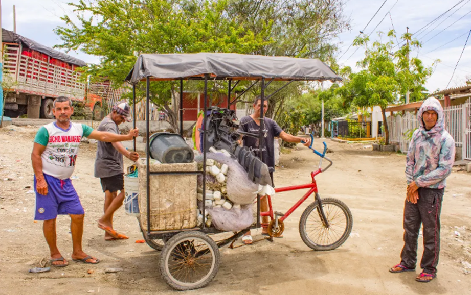 Aprender a mirar: Una inmersión en Tasajera, Magdalena. image