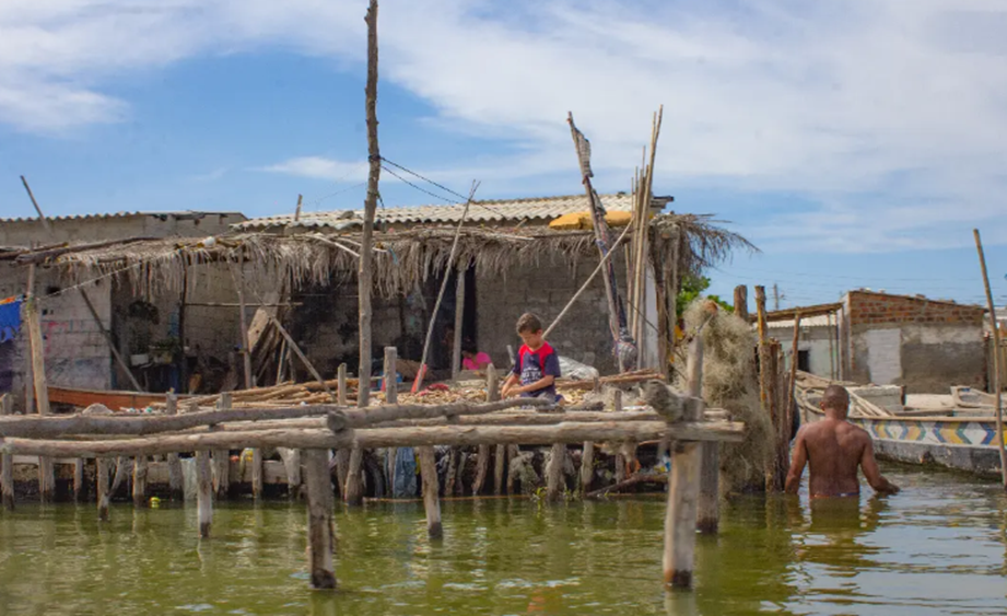 Aprender a mirar: Una inmersión en Tasajera, Magdalena. image