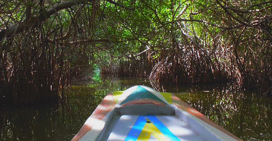 Aprender a mirar: Una inmersión en Tasajera, Magdalena. image